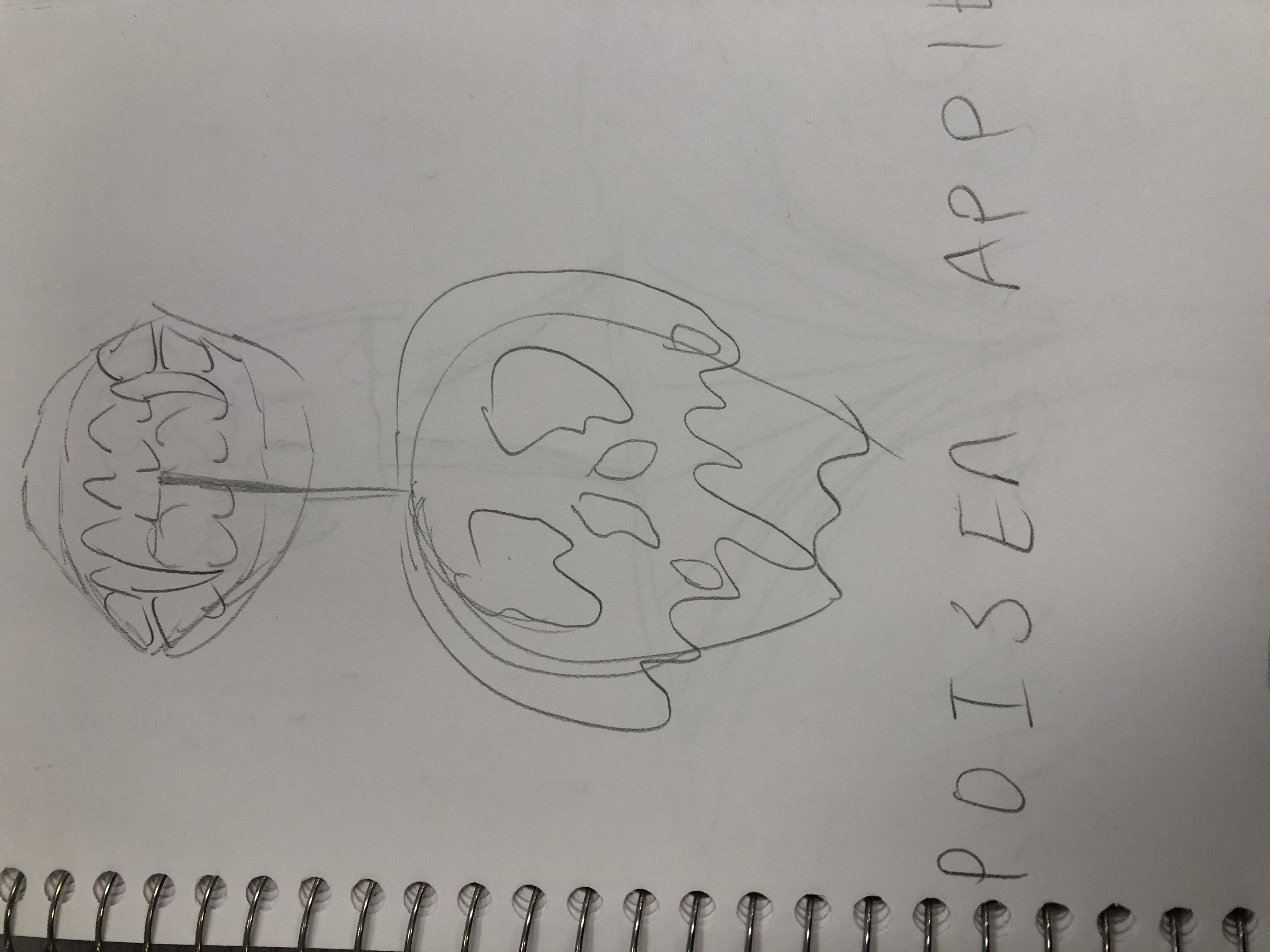 Sketch2